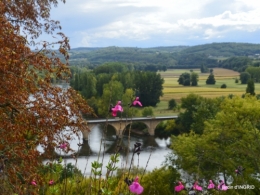cornouiller,Limeuil,Campagne, 129.JPG