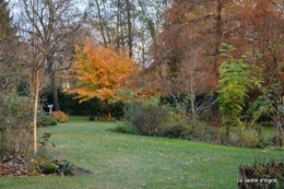 jardin propre,bruyères 016.JPG