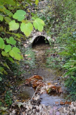 le canal,le banc