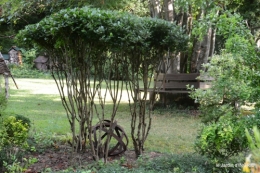 jardin,papillons,anniversaire d'Ines,bricolage 023.JPG