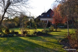 couronne,chevreuil,dernière tonte 055.JPG