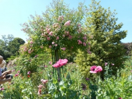 Normandie,jardin Monet,baie de Somme,chez Marylaur 185.JPG