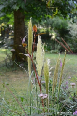 jardin,papillons,anniversaire d'Ines,bricolage 021.JPG