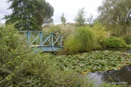 orage,puces,bouquet,Anniv.Ines,Brantome,Jardins d'eau 255.JPG