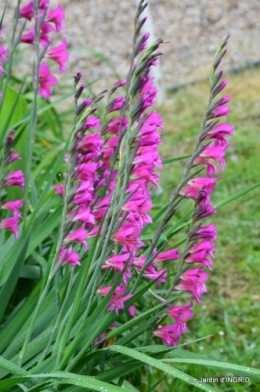 maison,jardin Bernadette,et jardin Claudine 076.JPG