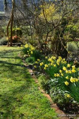 jardin le matin 026.JPG