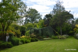 potager,chenille,pour le 18 juin,tour du jardin 052.JPG