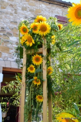 tournesols,podium,Lucas,jardin,Calès 051.JPG