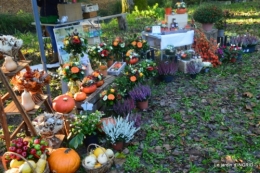 Issigeac,citrouilles ,rhus,automne,jardin 015.JPG