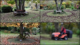 2014-11-11 anniversaire Mamy,chateau d'eau,jardin automne2.JPG