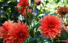 confiture,bouquet,petit jardin 017.JPG