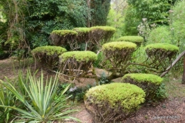 jardin de planbuisson