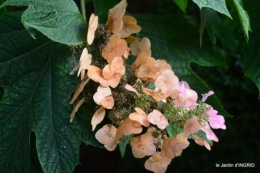 Meyrals,le Bugue,jardin 112.JPG