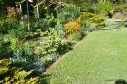 cygnes,cartes,scènes de jardin,;rosier de Banks 013.JPG