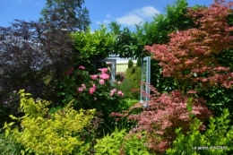 inondation,jardin,oeufs cygnes,chez Nathalie 068.JPG