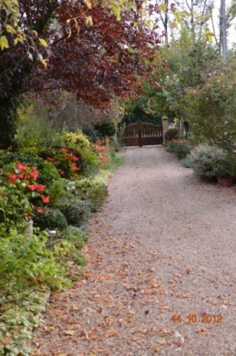 champignons,citrouilles,st Mayme de Péreyrol,fuschias,jardin aut 149.JPG