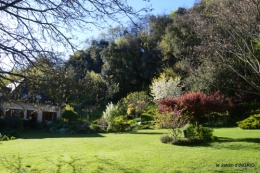 tour de jardin d'avril ,tonte 061.JPG