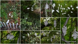 2013-10-06 mariage,jardin,la Brande,figues.JPG