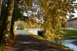 canal automne ,jardin,Ines 132.jpg