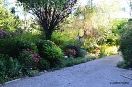 jardin,arrosage,pourpre,bouquet 052.JPG