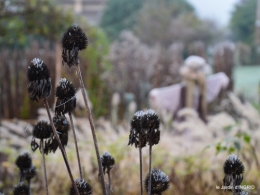 première gelée,décos Noel Jardiland Proflora 010.JPG