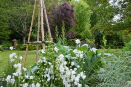 jump,Colombier,Cadouin,jardin,banc 097.JPG