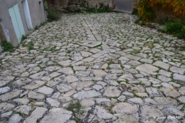 169.JPG