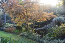 canal,jardin,Mombazillac,bonzais,orchidées 013.JPG