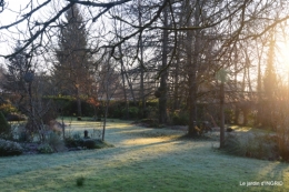première gelée,compositions florales à garder,jardin 011.JPG