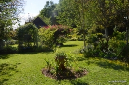 jardin avril et mai, 118.JPG
