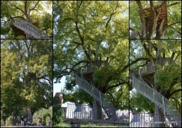 jardin du chateau de Banes