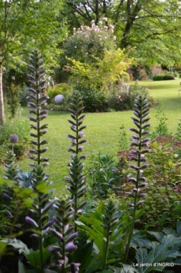 inondation,jardin,oeufs cygnes,chez Nathalie 046.JPG