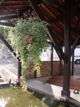 Issigeac,les filles,escalade 215.JPG