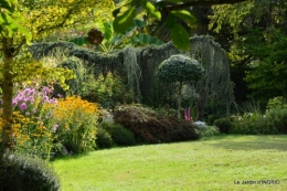 jardin le matin,la mare 102.JPG