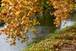 canal automne ,jardin,Ines 128.jpg