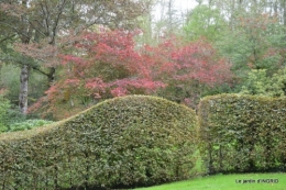 la Sedelle,étang de Riault,cyclamens 025.JPG