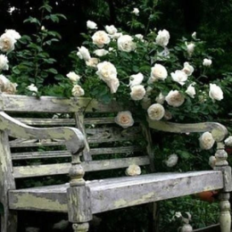 bancs