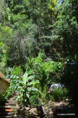bambous Roque Gageac,jardin,bouquet 133.JPG