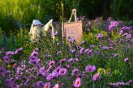 fleurs petit jardin,bouquets,grand jardin 091-001.JPG