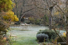 composition,kakis,jardin givré,asclépias,lalinde 056.JPG