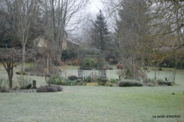 première gelée,compositions florales à garder,jardin 103.JPG