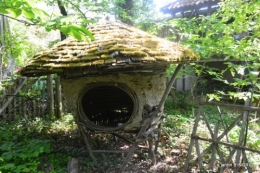 Fouleix,cygnes,Inès,jardin 071.JPG