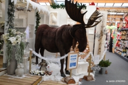 première gelée,décos Noel Jardiland Proflora 117.JPG