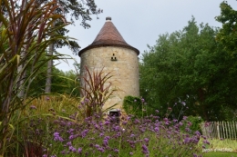 cornouiller,Limeuil,Campagne, 124.JPG