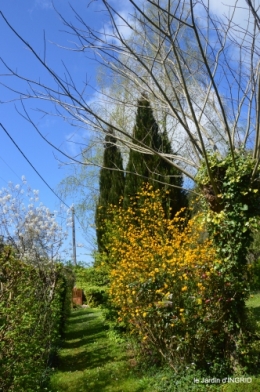 tulipes,Julie,golf,jardin 176.JPG