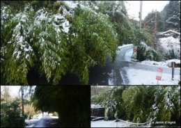 2023-01-20 Neige en dordogne,jardin1.jpg