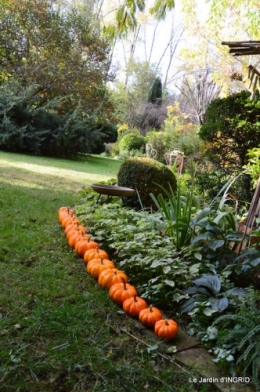 automne, décos cucurbitacées,jardin 024.JPG