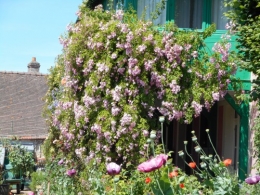 Normandie,jardin Monet,baie de Somme,chez Marylaur 181.JPG