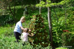 pyramide de fraisiers,toit végétalisé 011.JPG