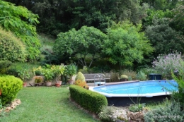 jardin 005.JPG